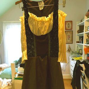 German Dirndl Costume